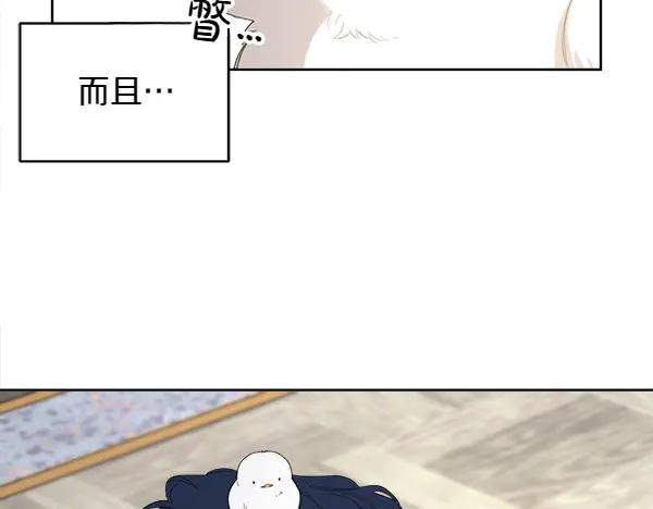 第7话 捣乱小鸟 第12页