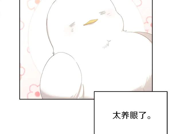 第7话 捣乱小鸟 第15页