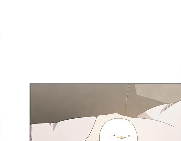第7话 捣乱小鸟 第20页