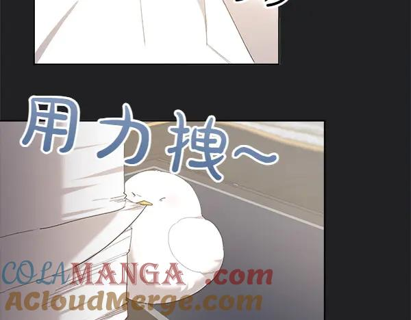 第7话 捣乱小鸟 第33页