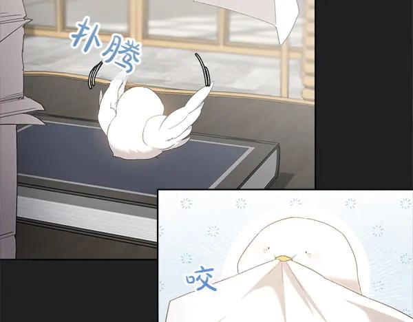 第7话 捣乱小鸟 第38页