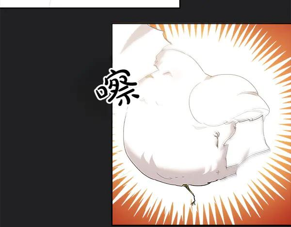 第7话 捣乱小鸟 第50页