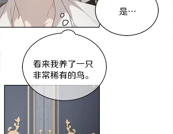 第7话 捣乱小鸟 第114页