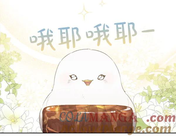 第12话 努力撮合 第7页