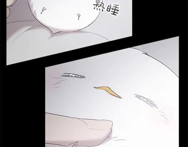 第12话 努力撮合 第41页