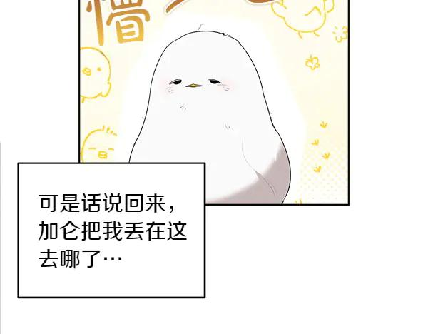 第12话 努力撮合 第62页
