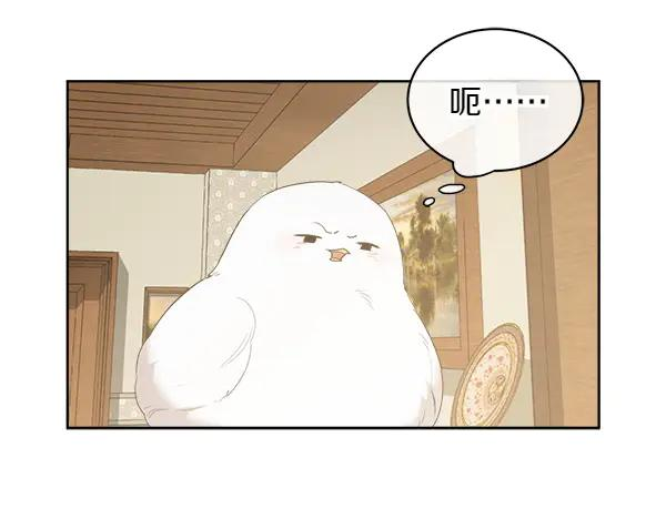 第12话 努力撮合 第68页