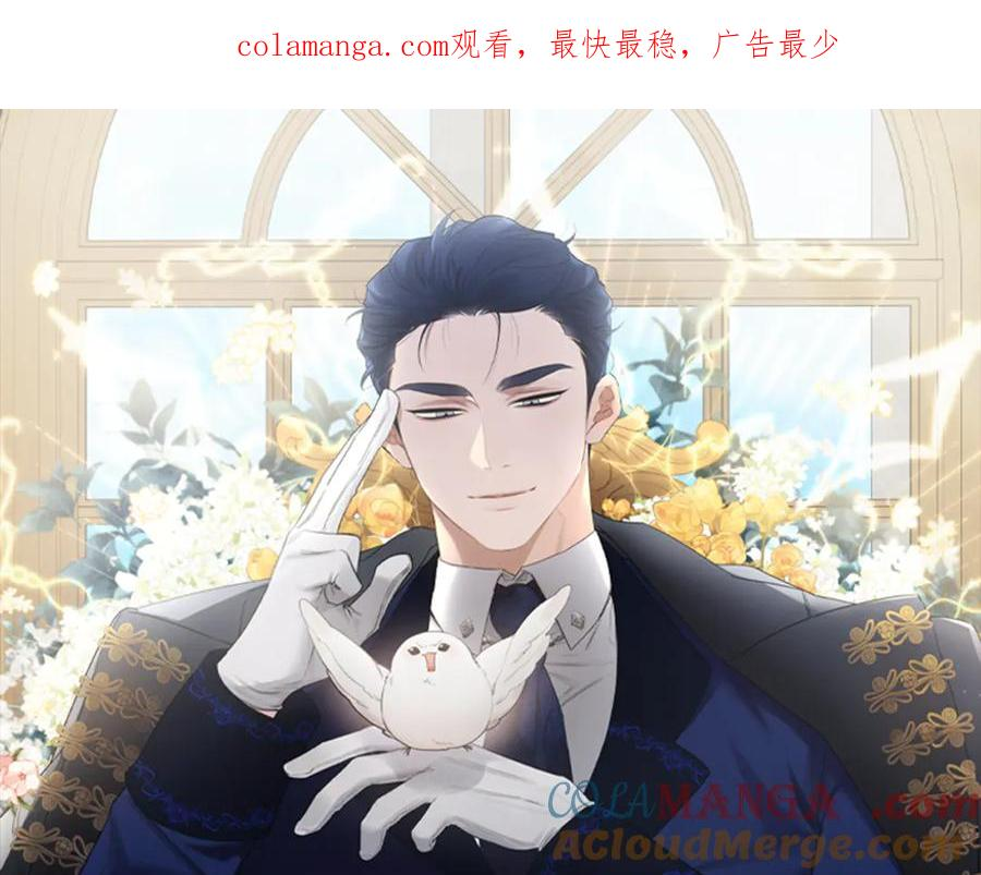 第13话 小鸟不见了 第1页