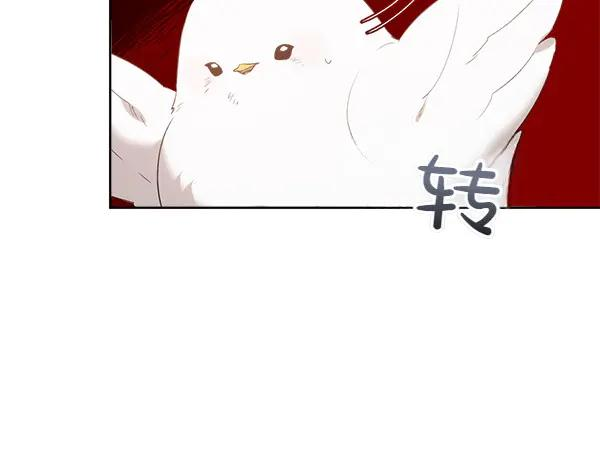 第13话 小鸟不见了 第56页