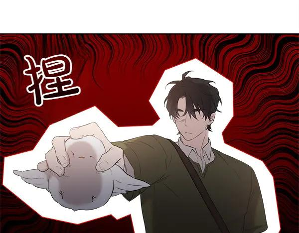 第13话 小鸟不见了 第57页