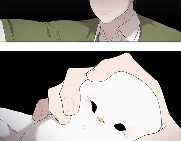 第13话 小鸟不见了 第60页