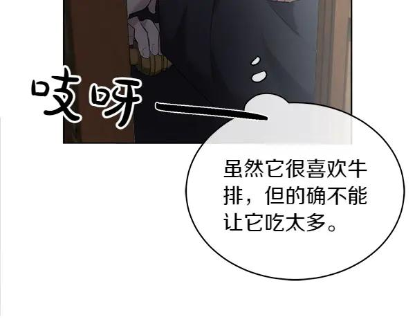 第13话 小鸟不见了 第72页