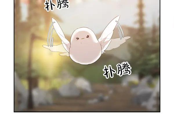 第17话 作战开始 第11页