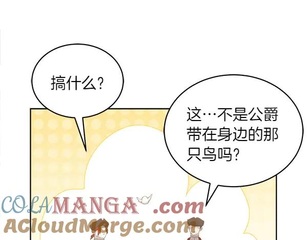 第17话 作战开始 第13页