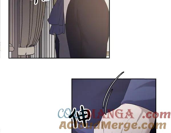 第17话 作战开始 第41页