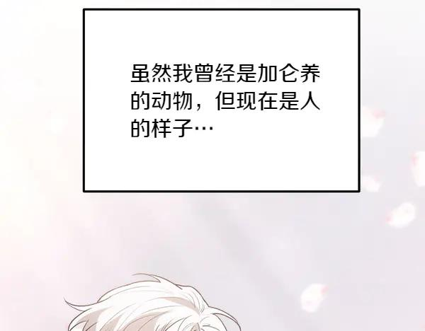 第29话 客人？ 第174页