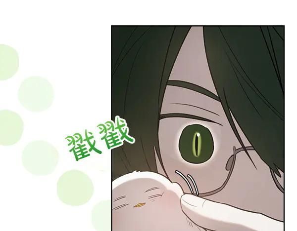 第32话 变身成功 第40页