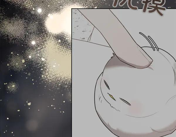 第32话 变身成功 第178页