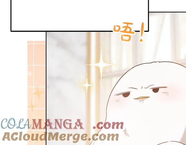 第33话 做足准备 第13页
