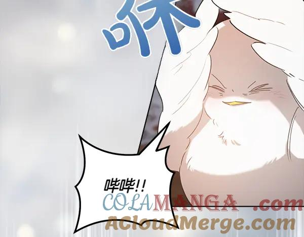 第34话 才艺展示 第149页