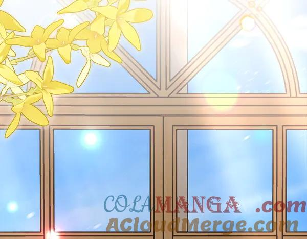 第40话 疏远 第229页
