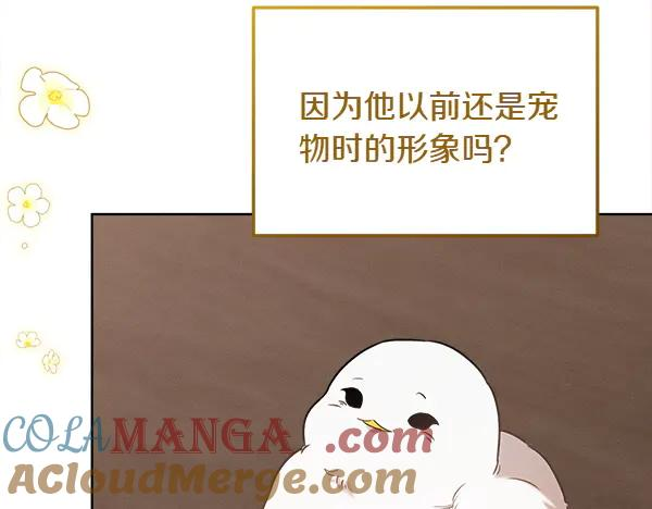 第40话 疏远 第233页
