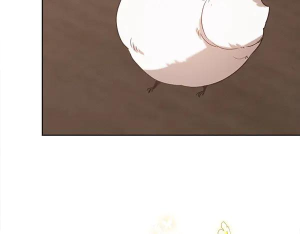 第40话 疏远 第234页