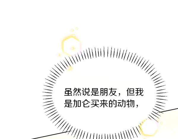 第42话 提问 第203页