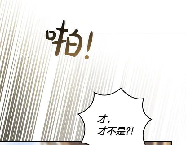 第42话 提问 第242页