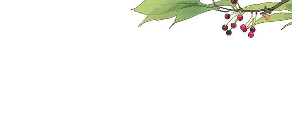 第48话 朋友之间做的事 第182页