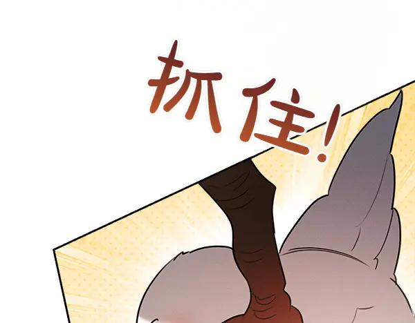 第50话 很快会再见 第215页