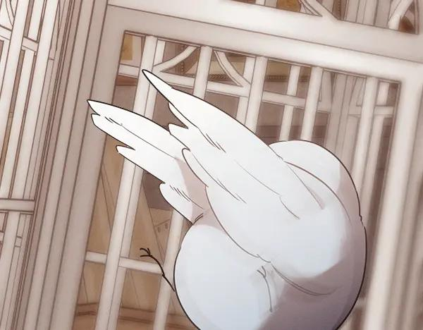 第51话 救救鸟啊 第20页