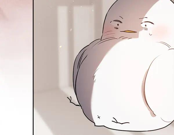 第51话 救救鸟啊 第27页