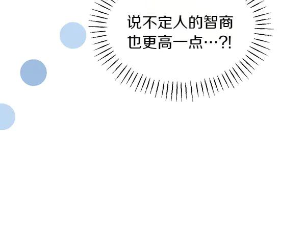 第51话 救救鸟啊 第35页