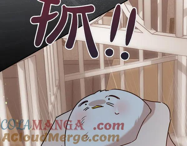 第51话 救救鸟啊 第53页