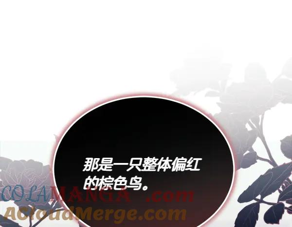 第51话 救救鸟啊 第141页