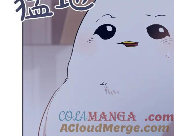 第51话 救救鸟啊 第173页