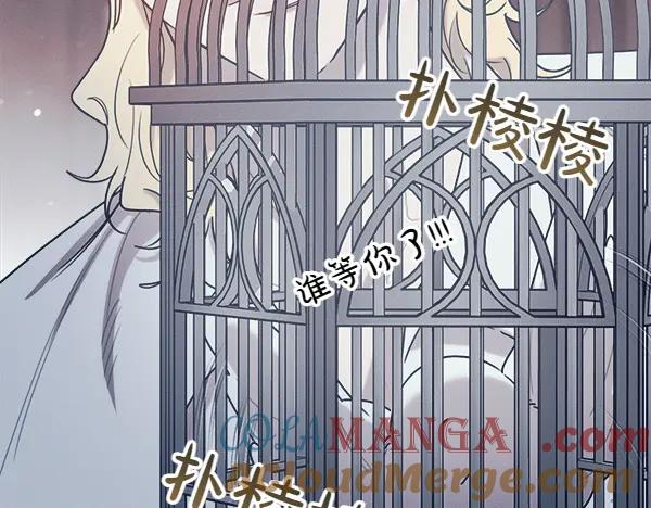 第51话 救救鸟啊 第181页