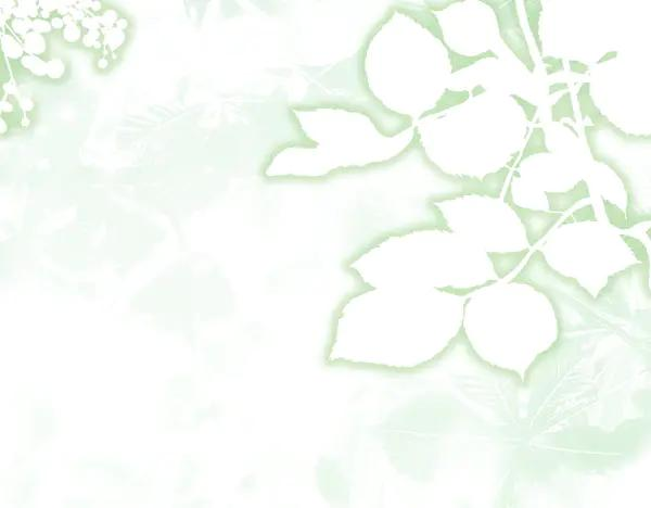 第53话 看热闹 第80页