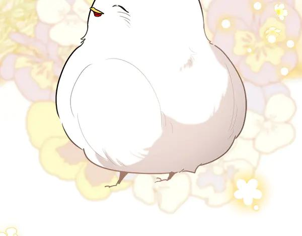 第53话 看热闹 第128页