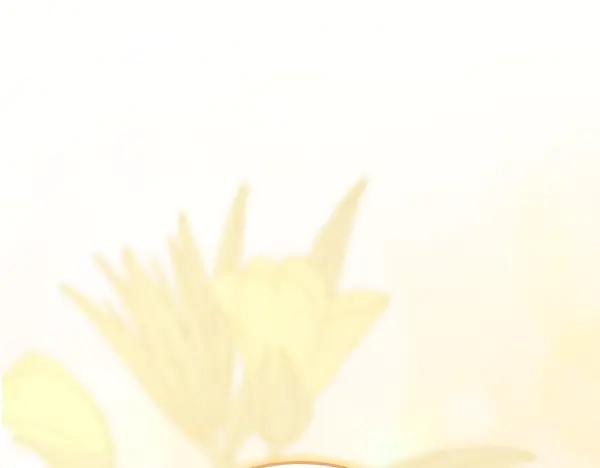 第55话 陌生的精灵 第22页