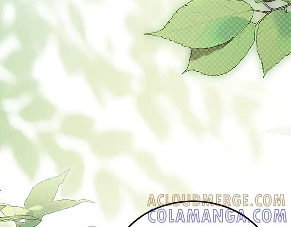 第55话 陌生的精灵 第137页