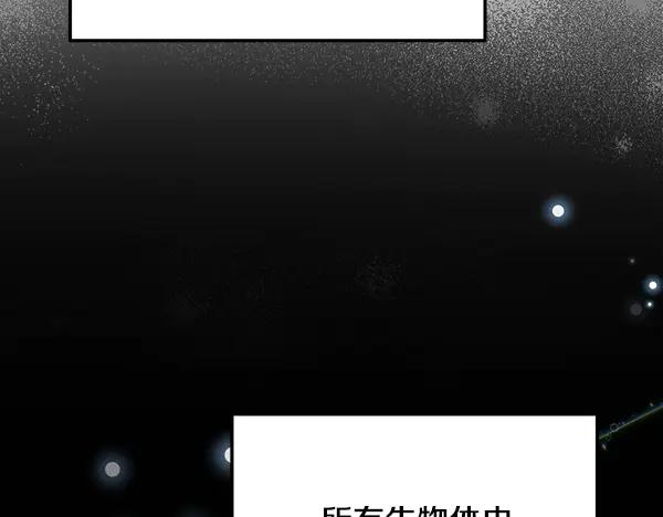 第55话 陌生的精灵 第184页