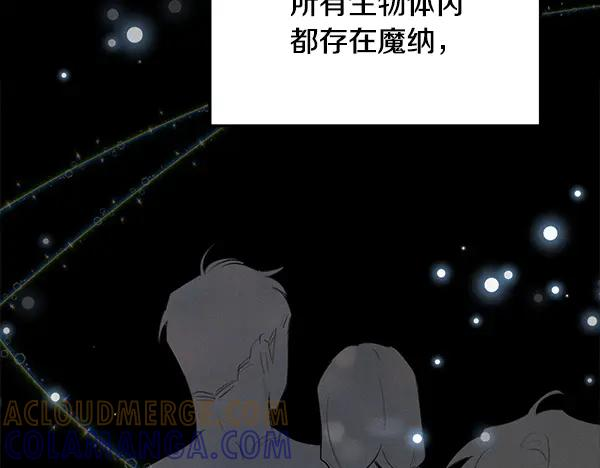 第55话 陌生的精灵 第185页