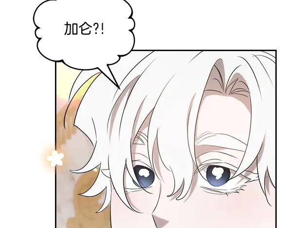 第55话 陌生的精灵 第216页