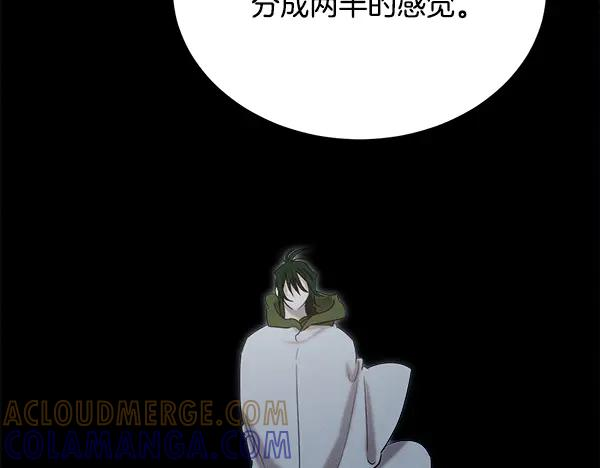 第55话 陌生的精灵 第261页