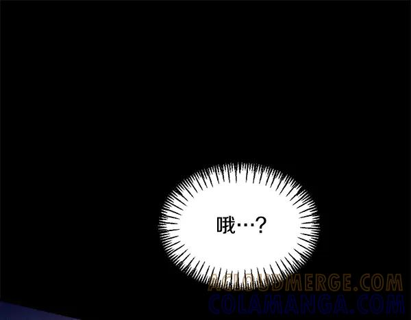 第61话 我只是听人吩咐 第217页