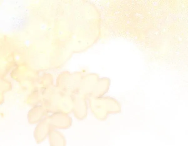 第64话 初见的方法 第111页