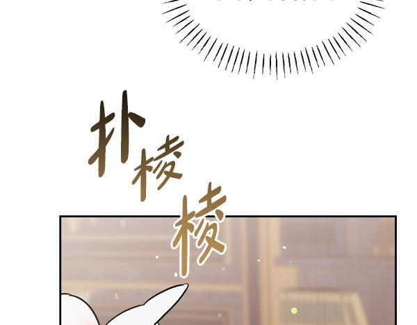 完结篇 这里也是你的世界 第225页