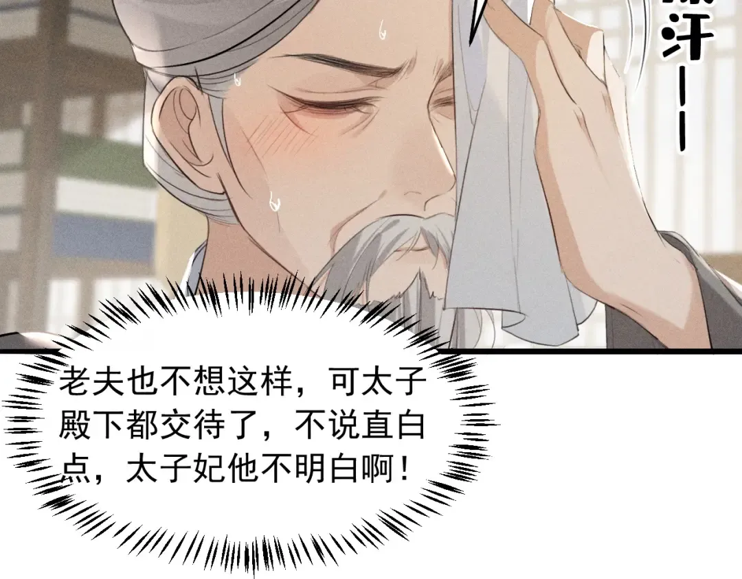 第17话 名副其实的太子妃 第51页